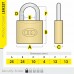 25mm Tri-Circle Brass Padlock